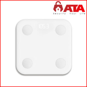 Smart Body Fat Scale Smart Body Fat Scale